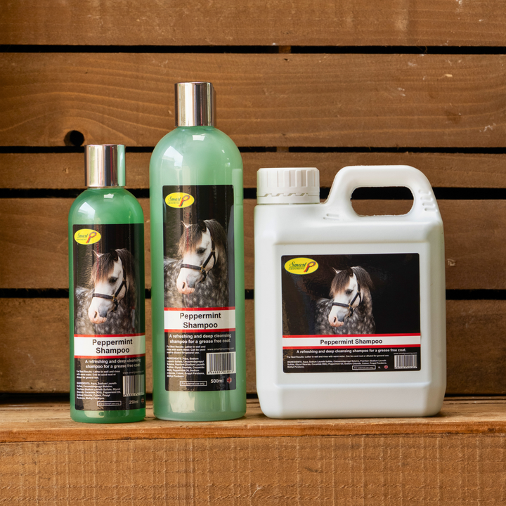 Peppermint Shampoo