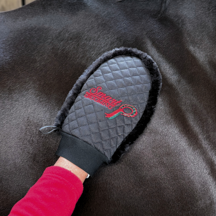 Quilted Grooming Mitt