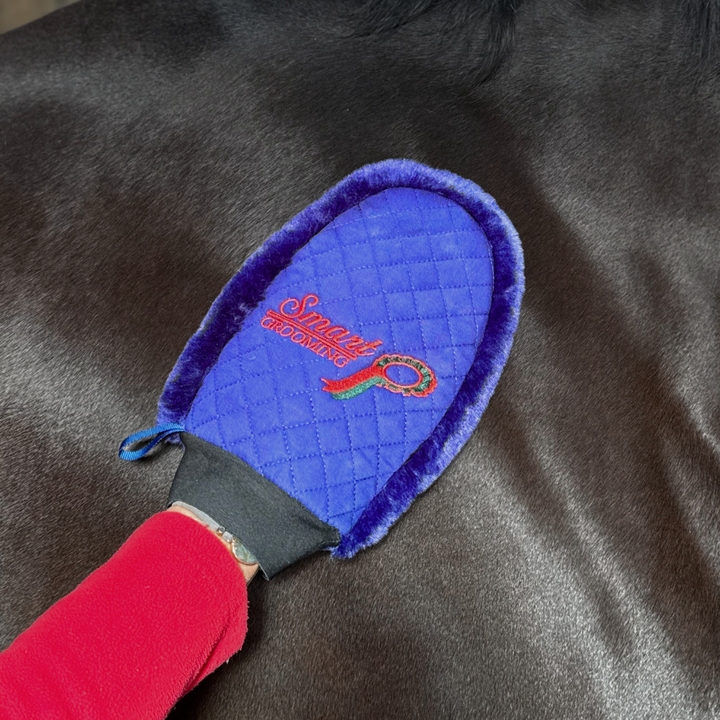 Quilted Grooming Mitt