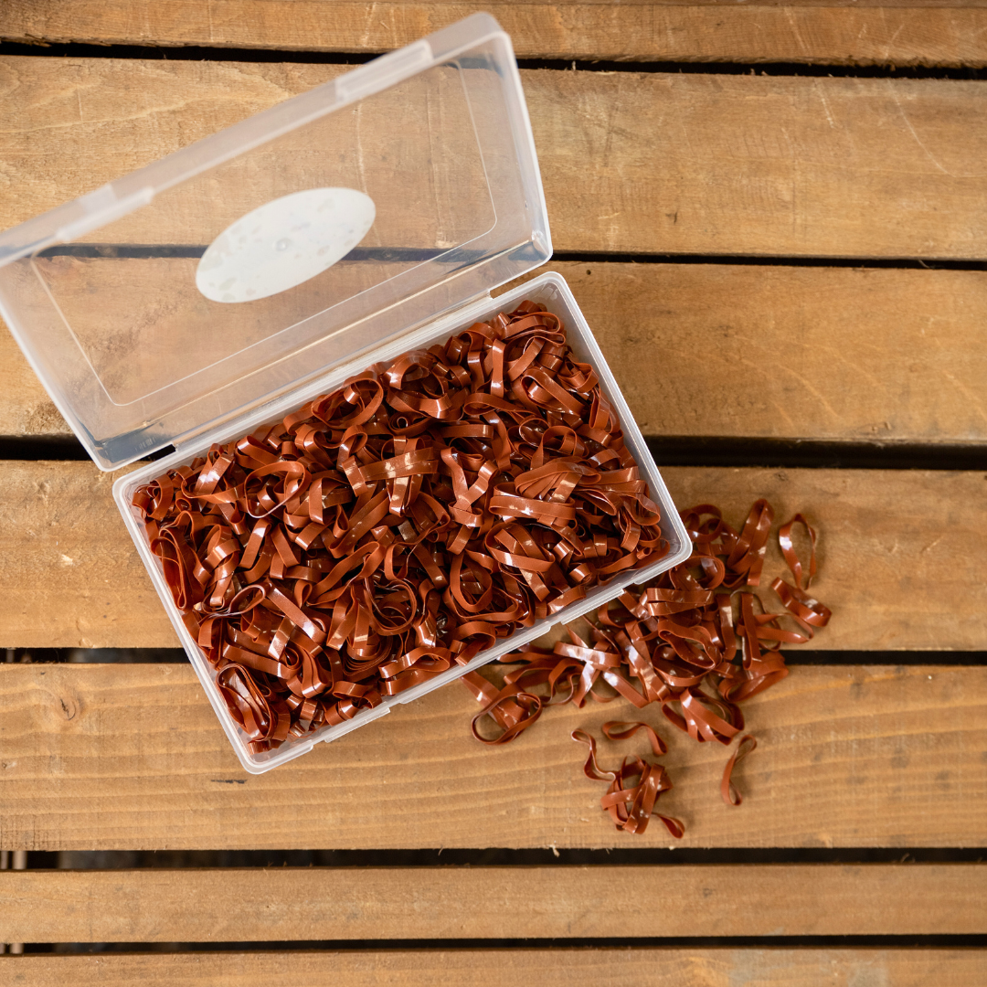 Super Stretchy Silicone Plaiting Bands