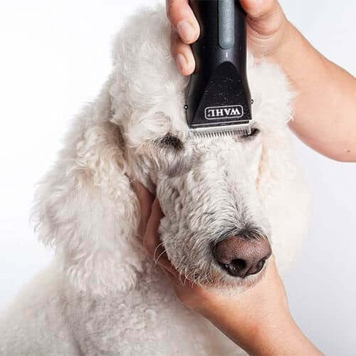 Wahl Arco Trimmer