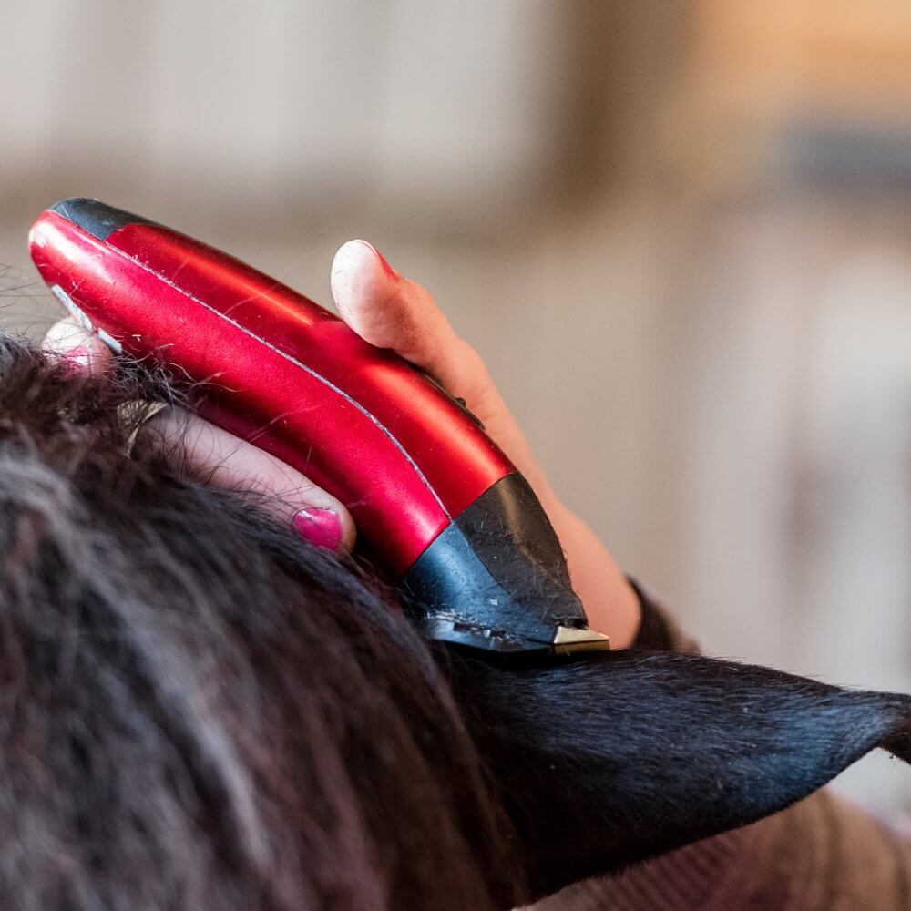 Liveryman Classic Trimmer