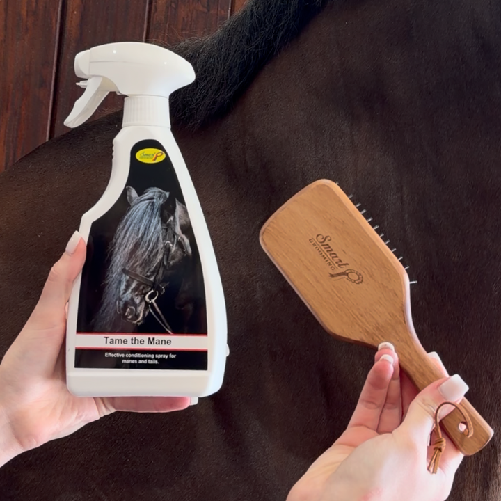 Tame That Mane Duo