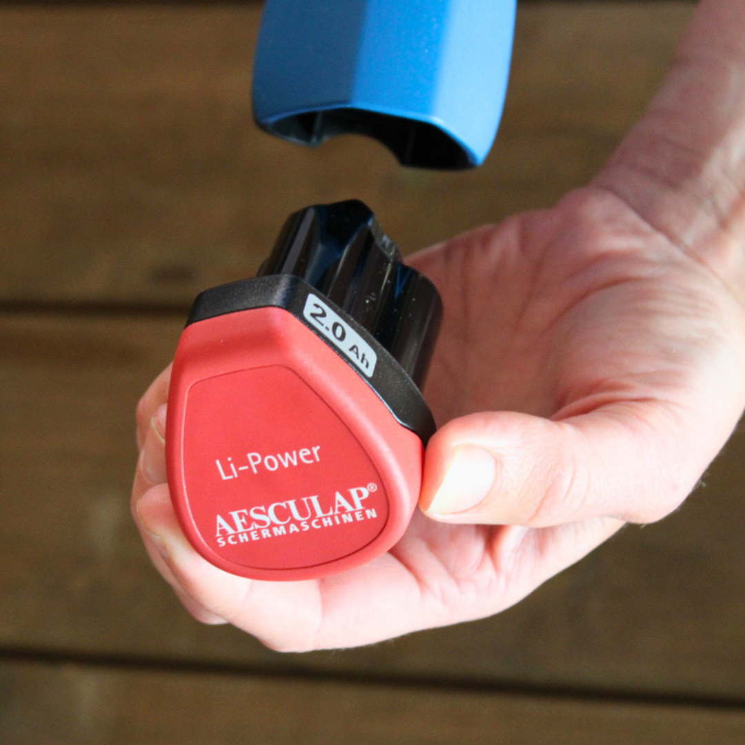 Aesculap Bonum Battery