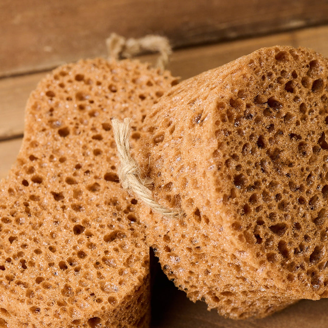 Borstiq Sponge