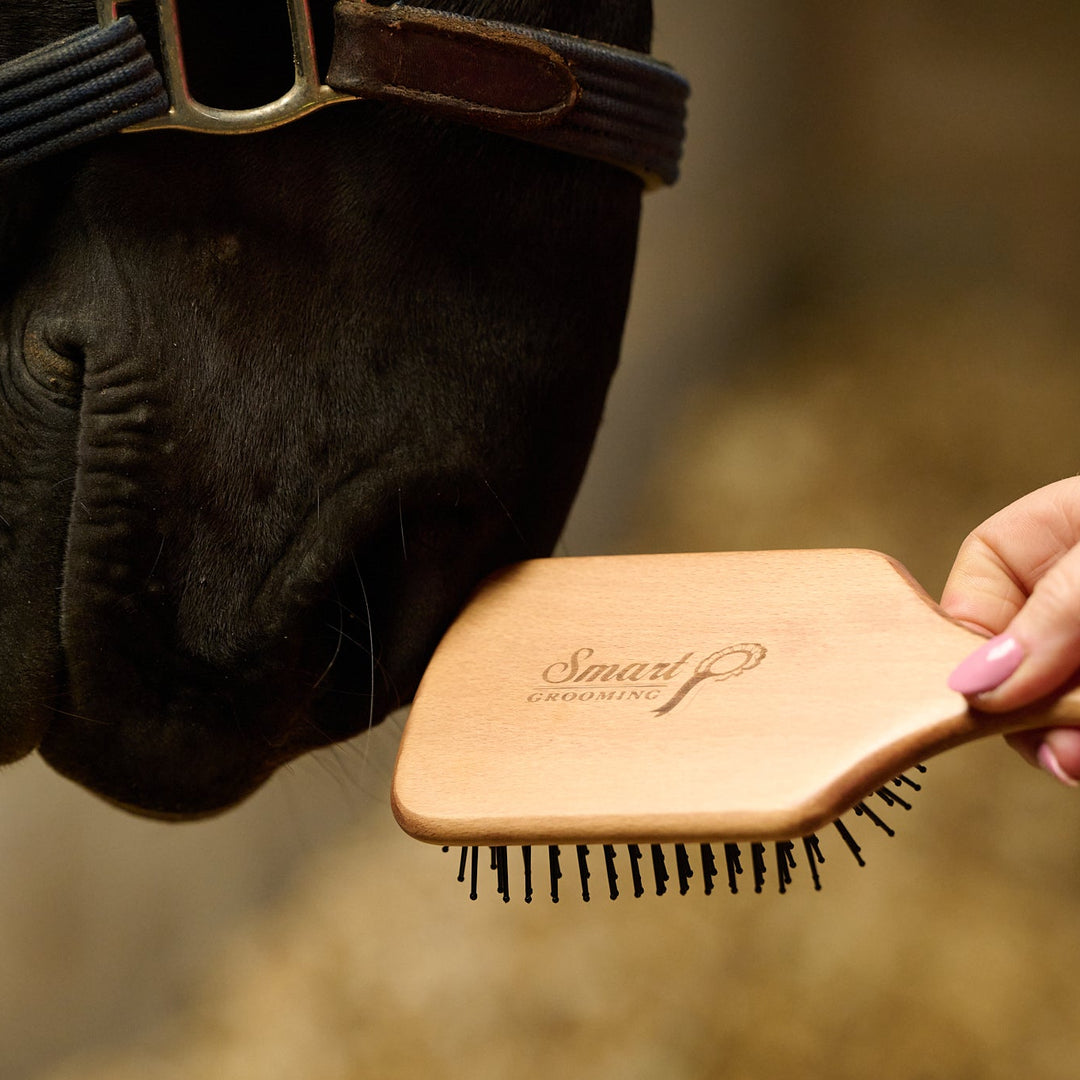 Mane & Tail Brush