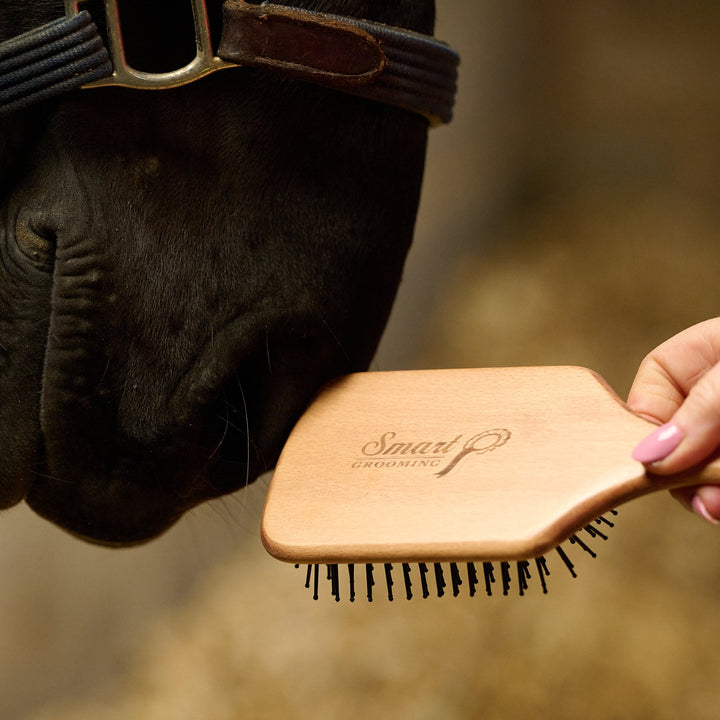 Mane & Tail Brush
