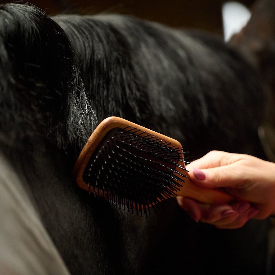 Mane & Tail Brush