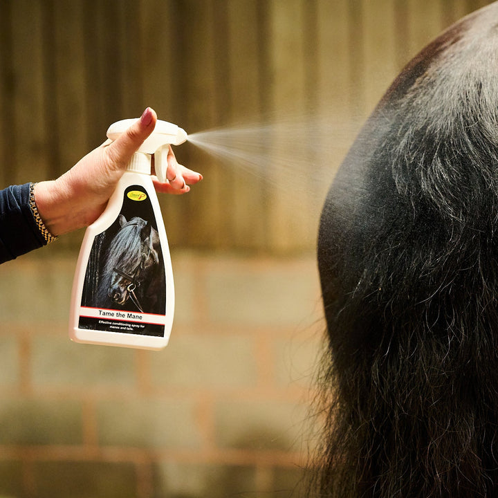 Tame the Mane Conditioner und Entwirrer