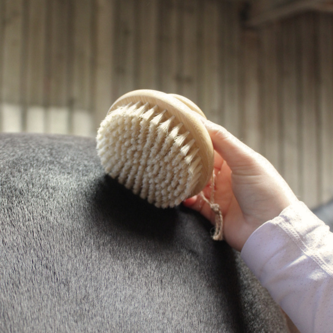 Natural Brush Collection - Mixed Bristle Brush