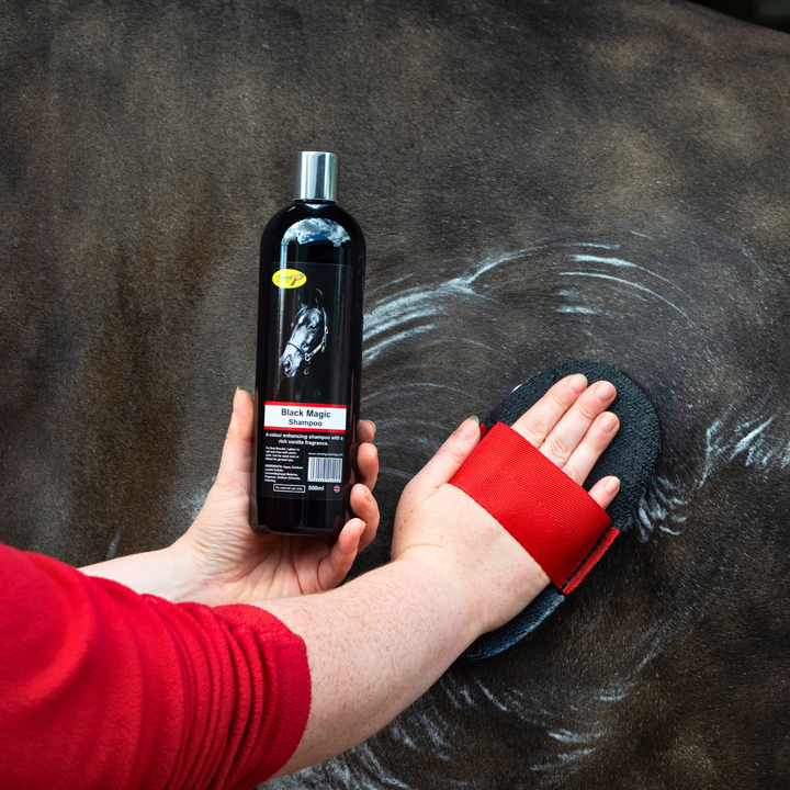 Black Magic Shampoo