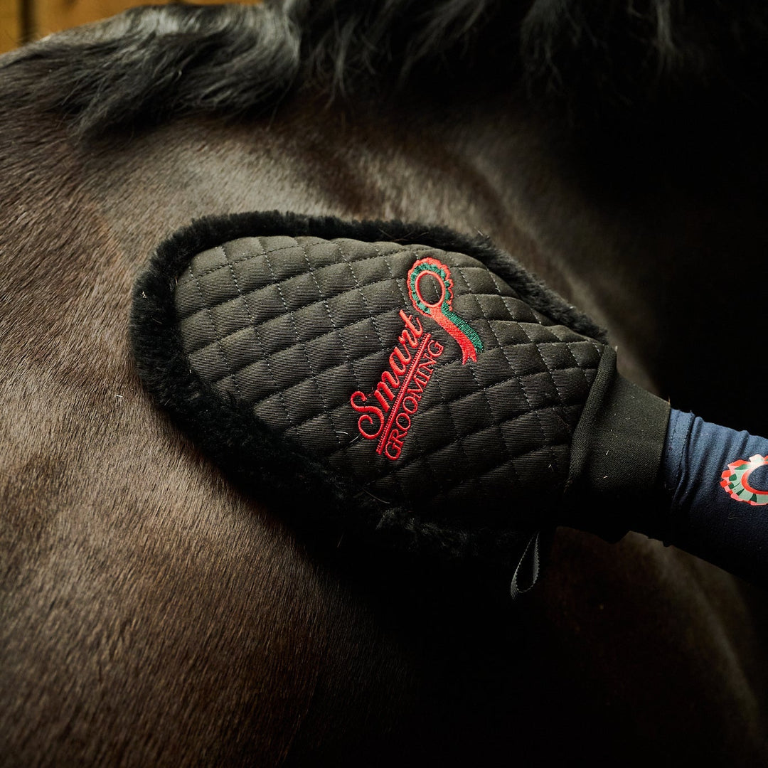 Quilted Grooming Mitt