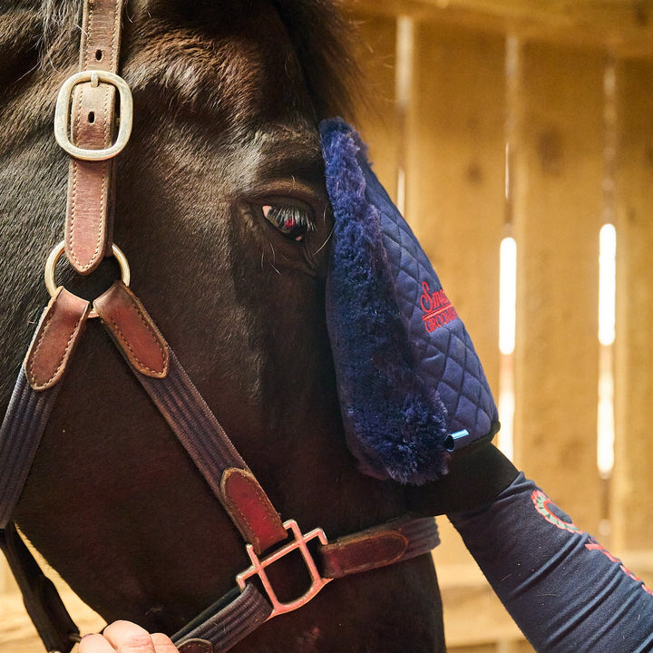 Quilted Grooming Mitt