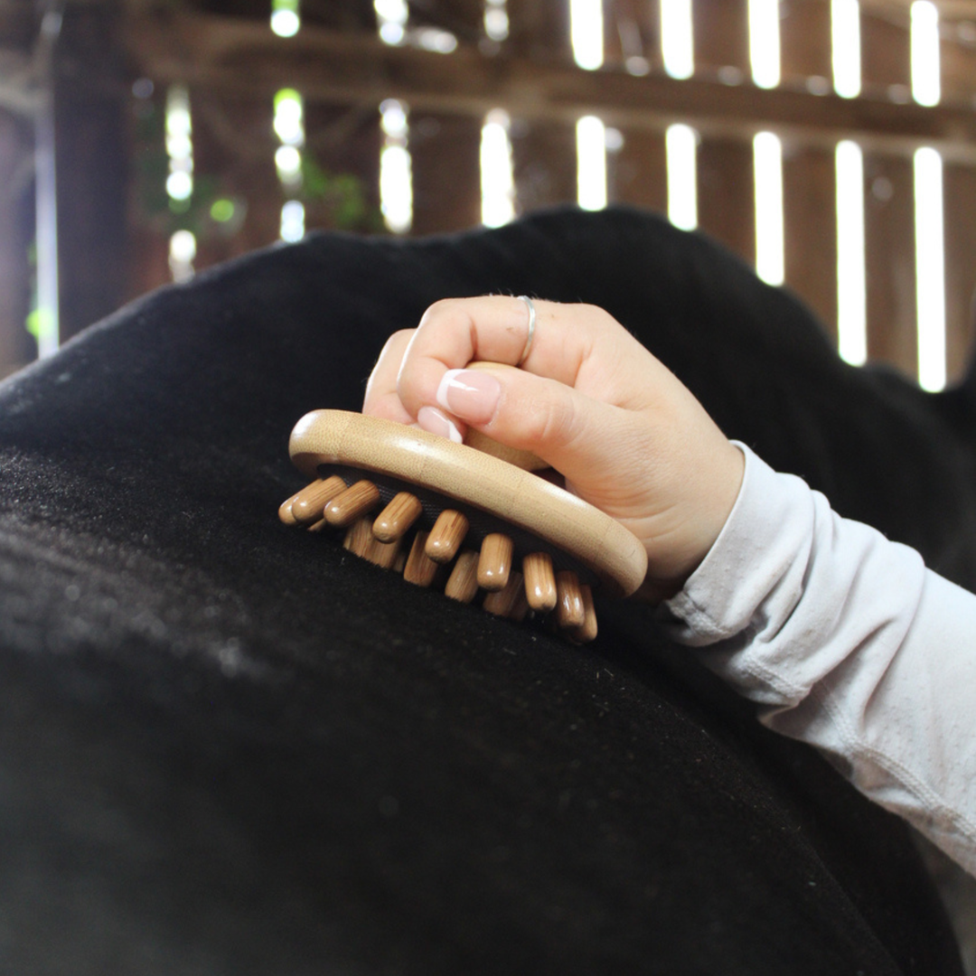 Natural Brush Collection - Massage Brush