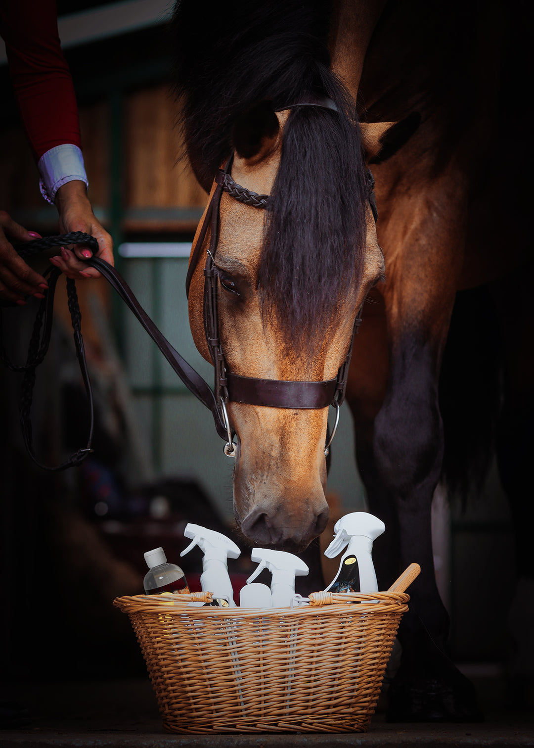 Wicker Show Basket