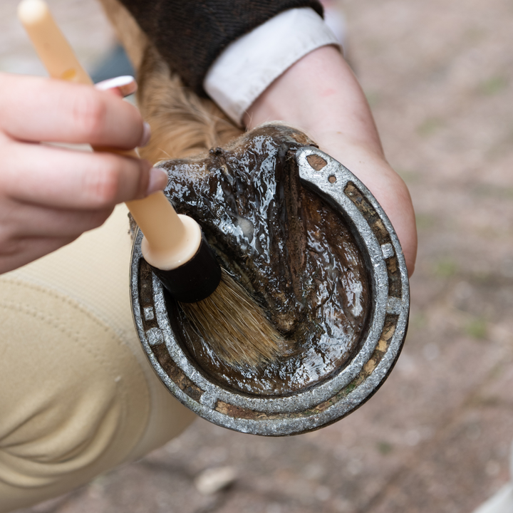 Hoof Oil Brushes