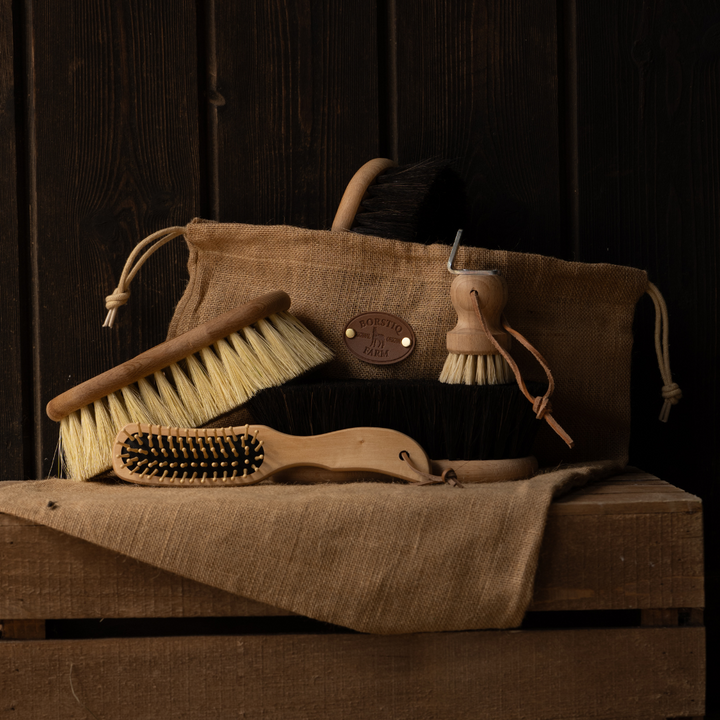Borstiq Natural Shaped Brush Kit