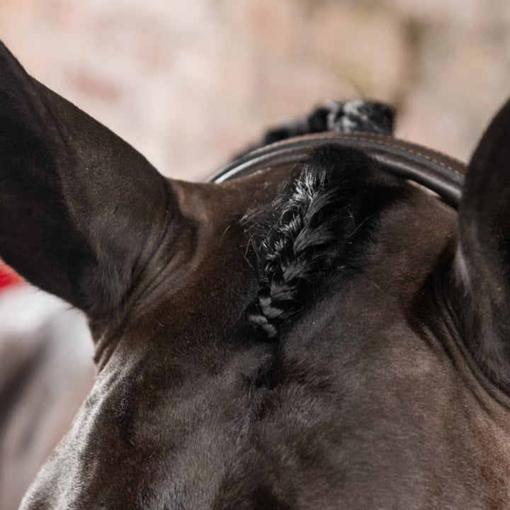 Forelock Plaiting Grippers