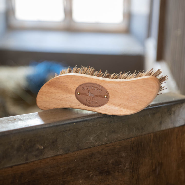 Borstiq Scrub Brush