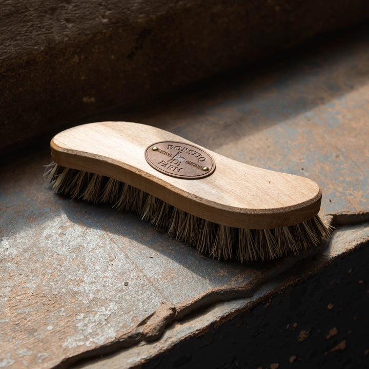 Borstiq Scrub Brush