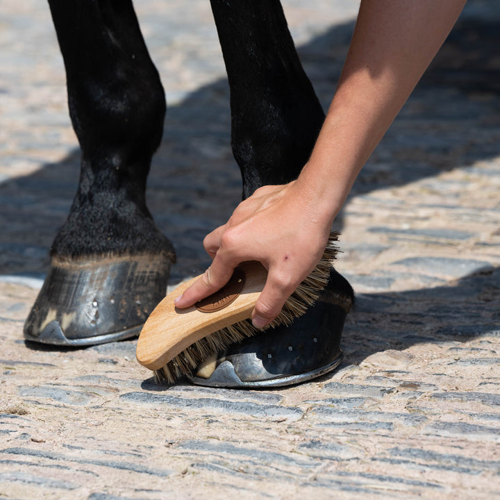 Borstiq Scrub Brush