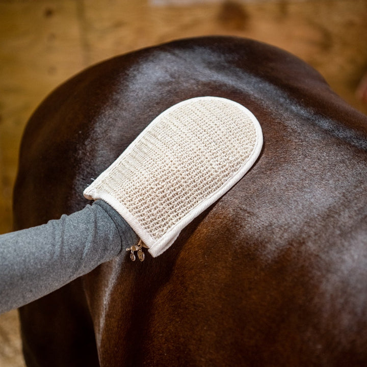 Doppelseitiger Pflegehandschuh mit Kaktus-Motiv