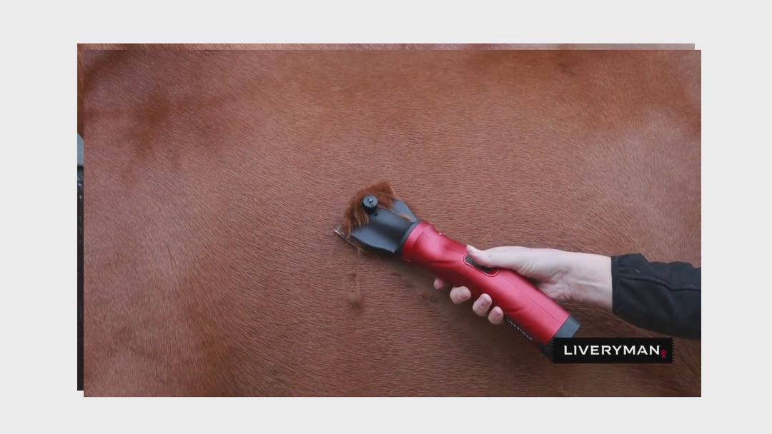 Liveryman Phoenix Re-chargeable Clipper
