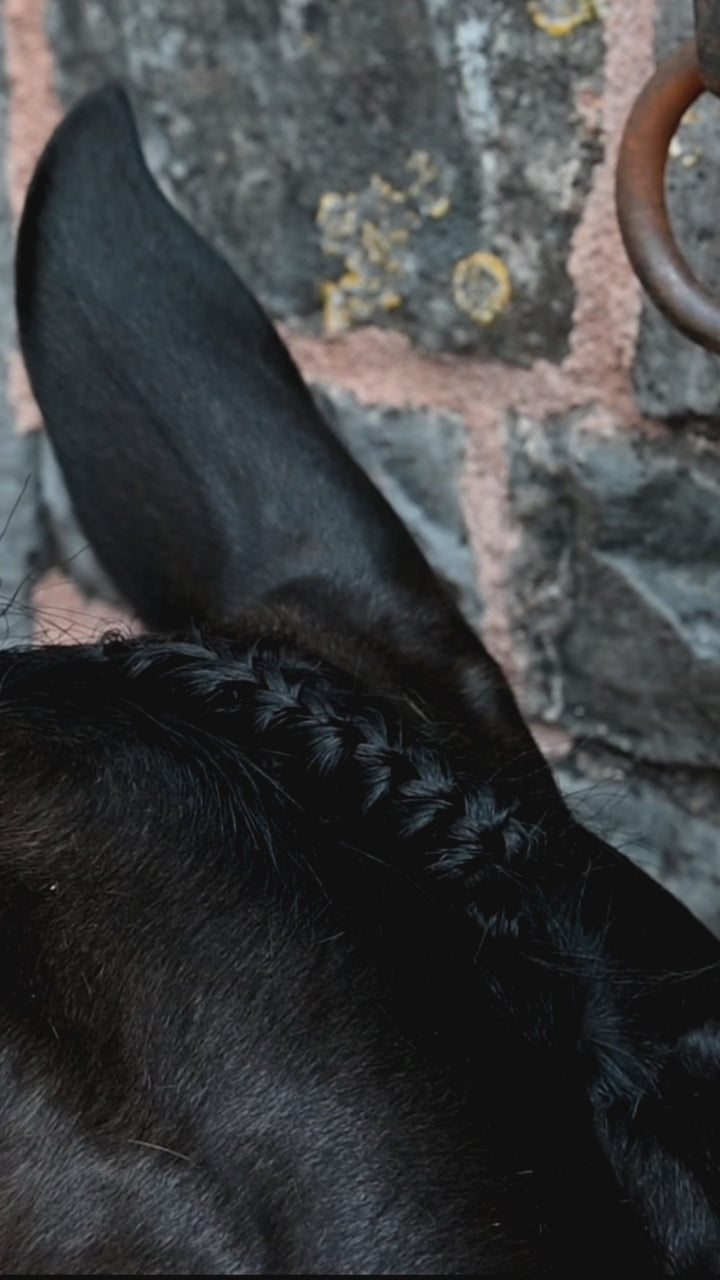 Forelock Plaiting Grippers