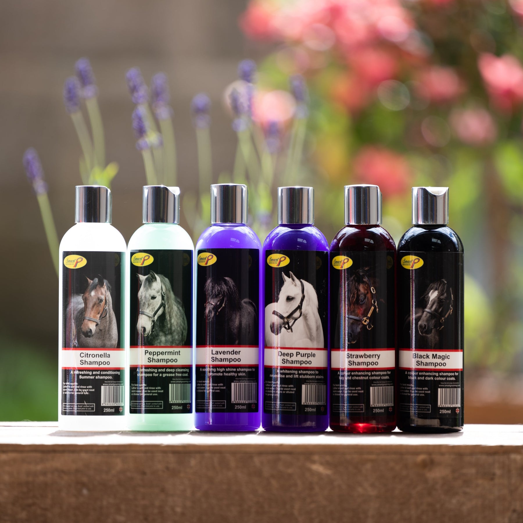 Couleur et brillance – Smart Grooming Couleur et brillance – Smart Grooming
