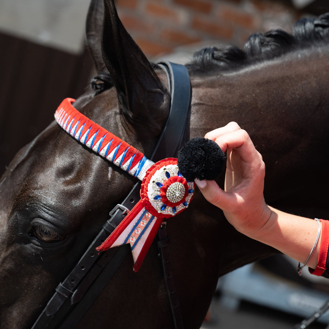 Equi Plugs