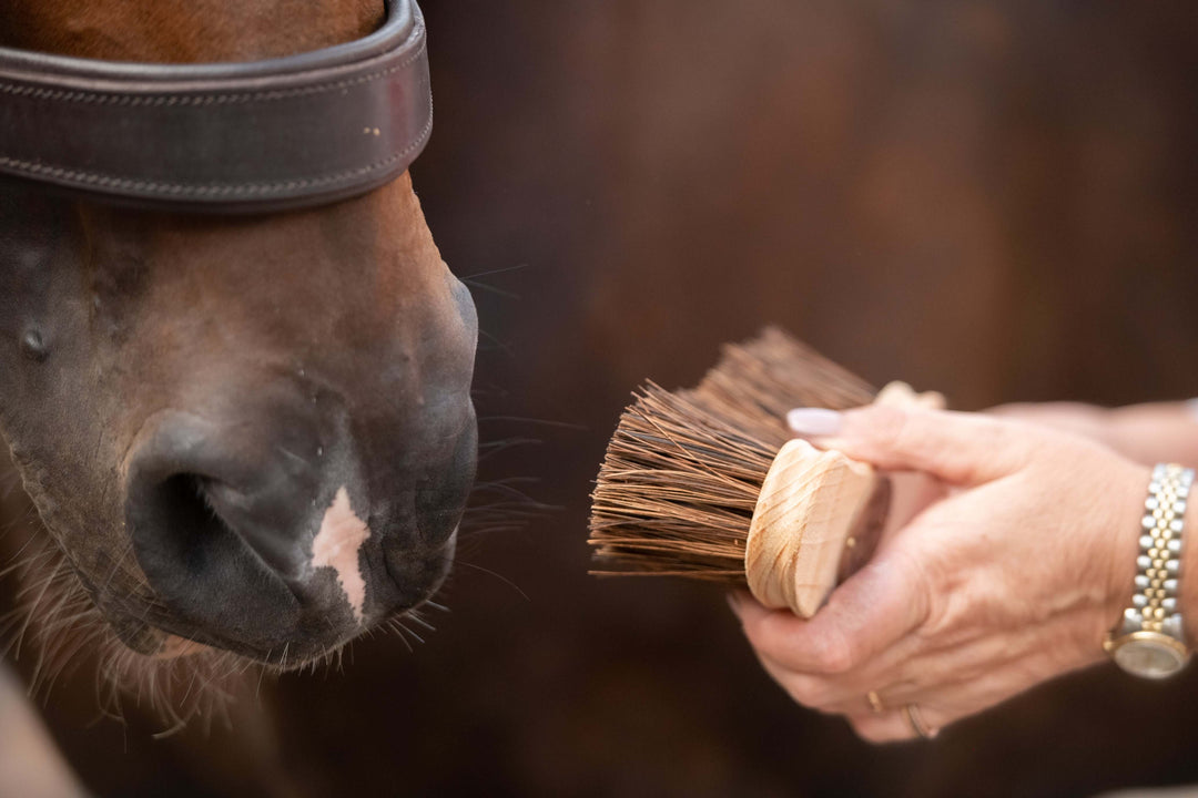 Borstiq Banana Dandy Brush