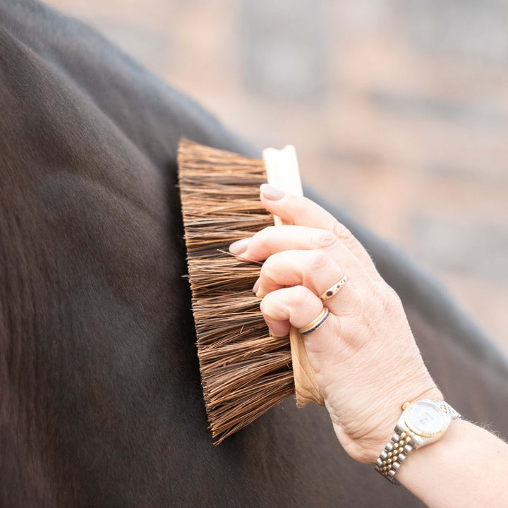 Borstiq Banana Dandy Brush