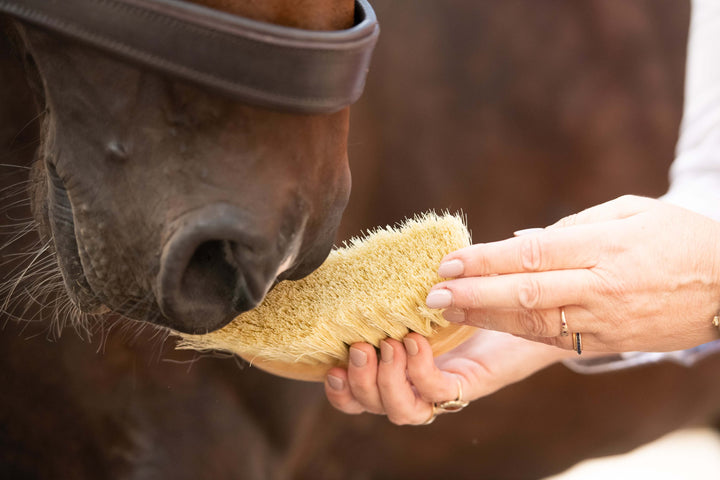 Borstiq Banana Mex Fibre Brush