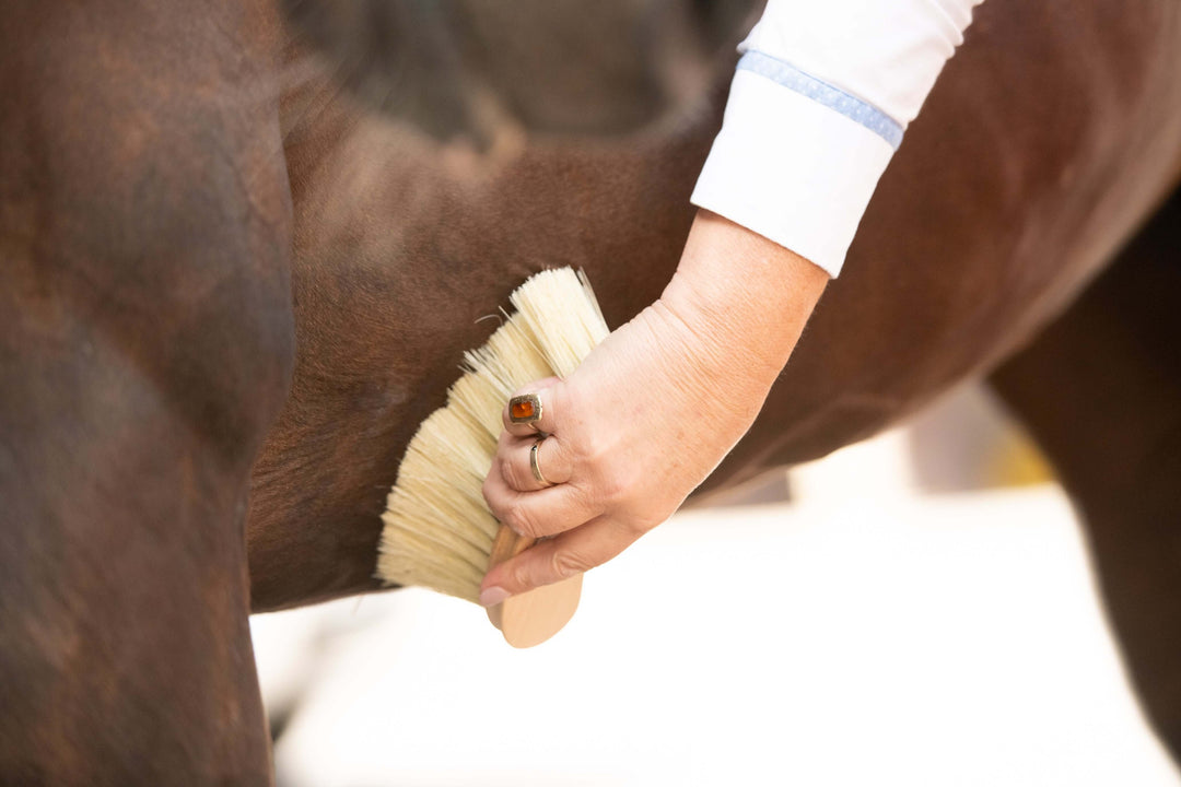 Borstiq Banana Mex Fibre Brush