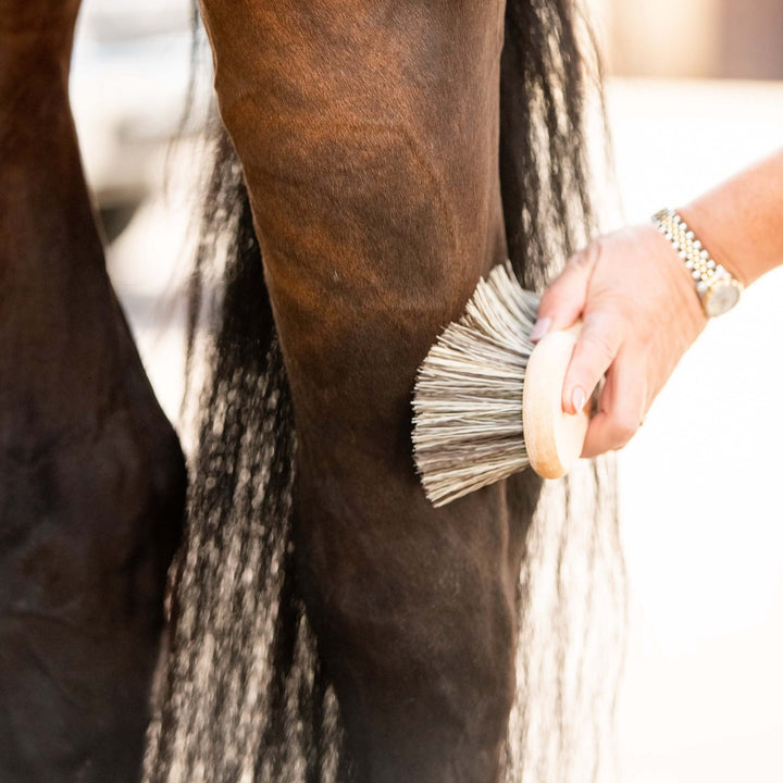 Brosse pour cheval moyenne en forme de Borstiq