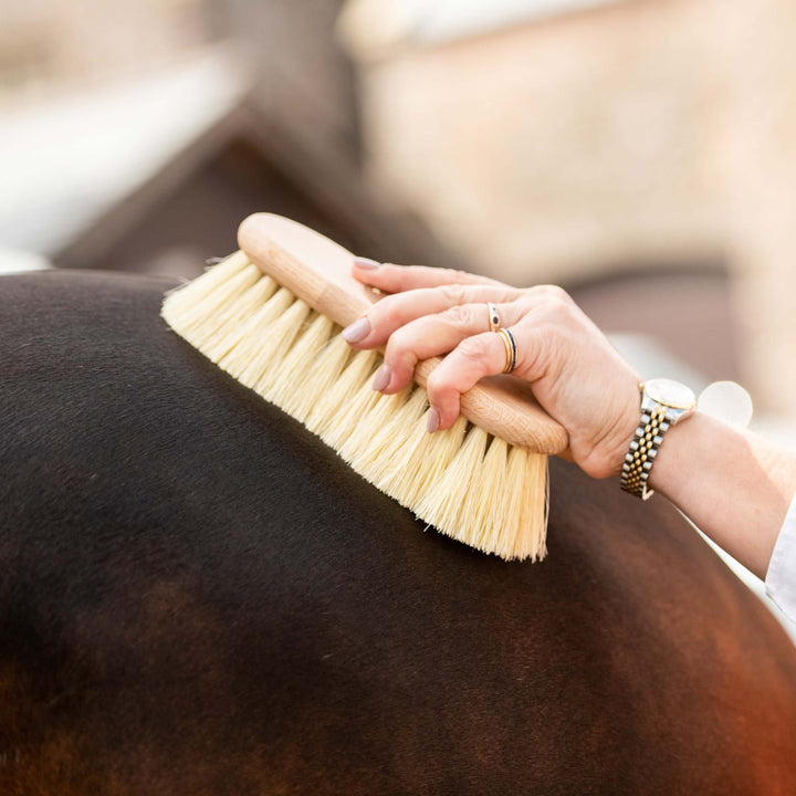 Brosse pour cheval en fibre Mex en forme de Borstiq