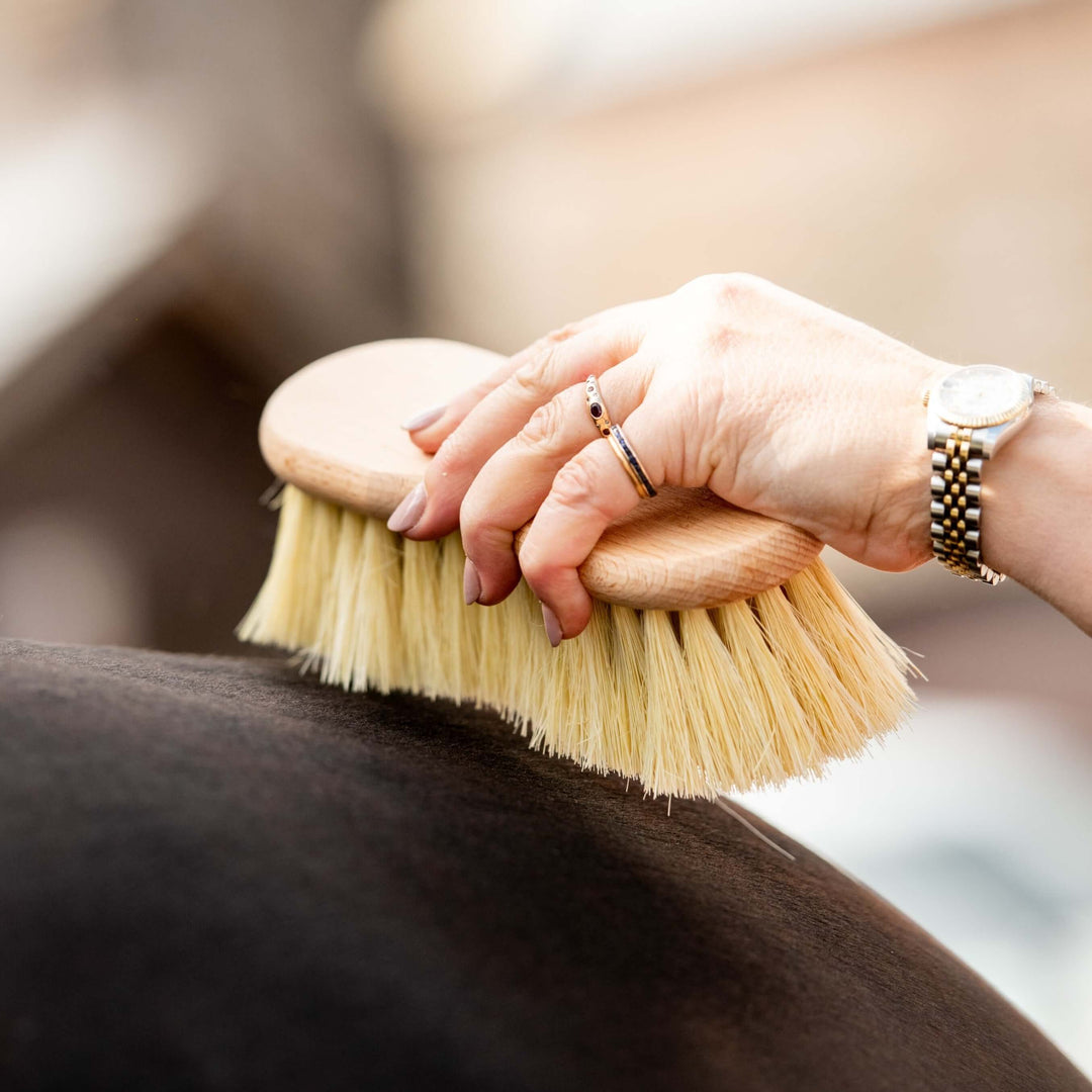 Brosse pour cheval en fibre Mex en forme de Borstiq