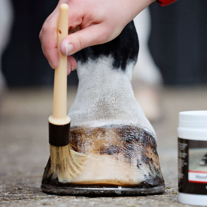 Hoof Oil Brushes