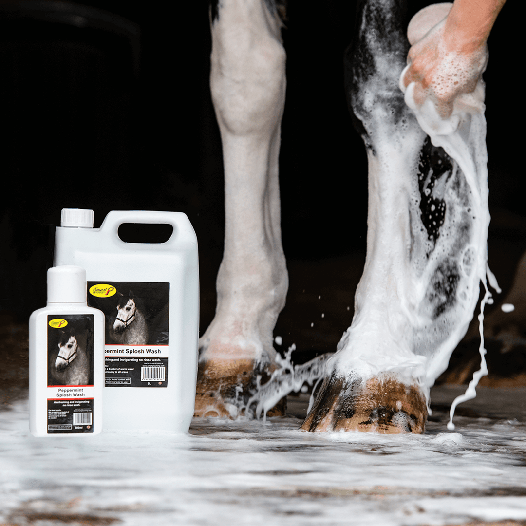 Peppermint Splosh Wash | Horse Shampoo – Smart Grooming