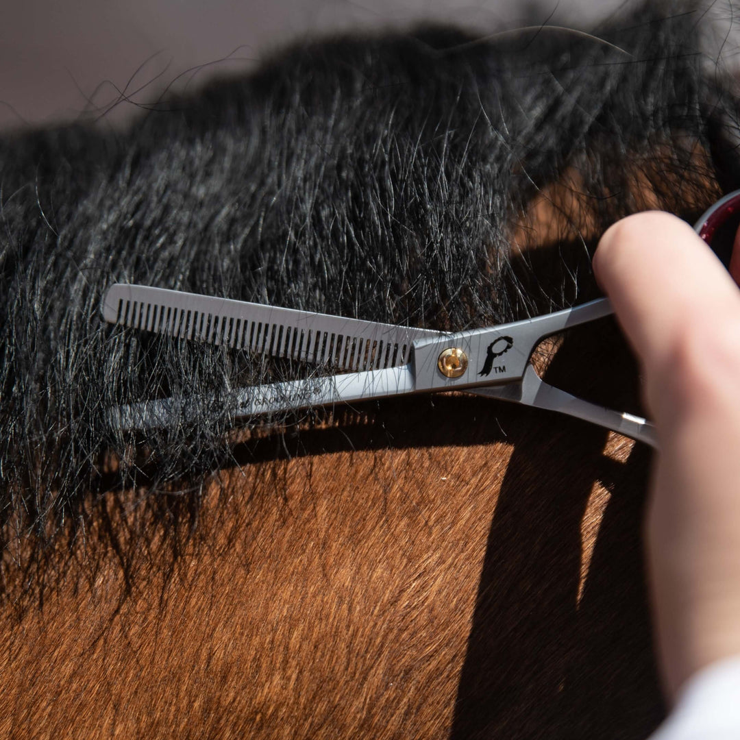 Ciseaux amincissants à une jambe de 6 po