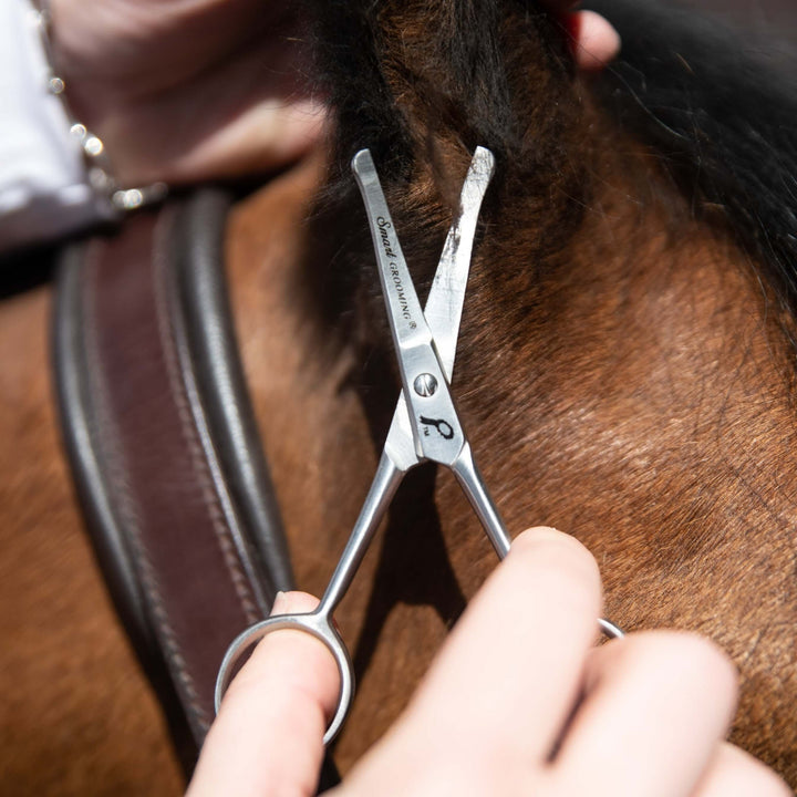 4.5"/11cm Curved Safety Scissors