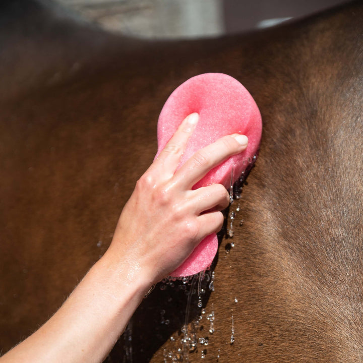 Éponge de lavage géante