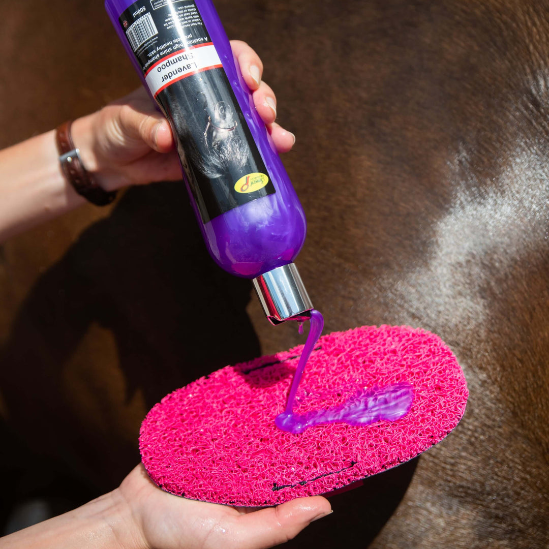 Super Groomer - Cura Del Cavallo - Equitazione - Foto 7