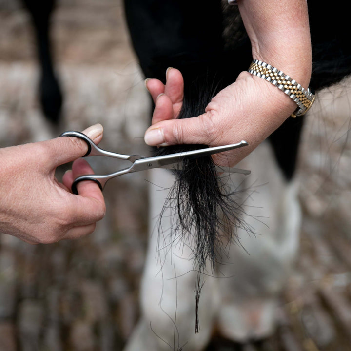 6" Straight Safety Scissors