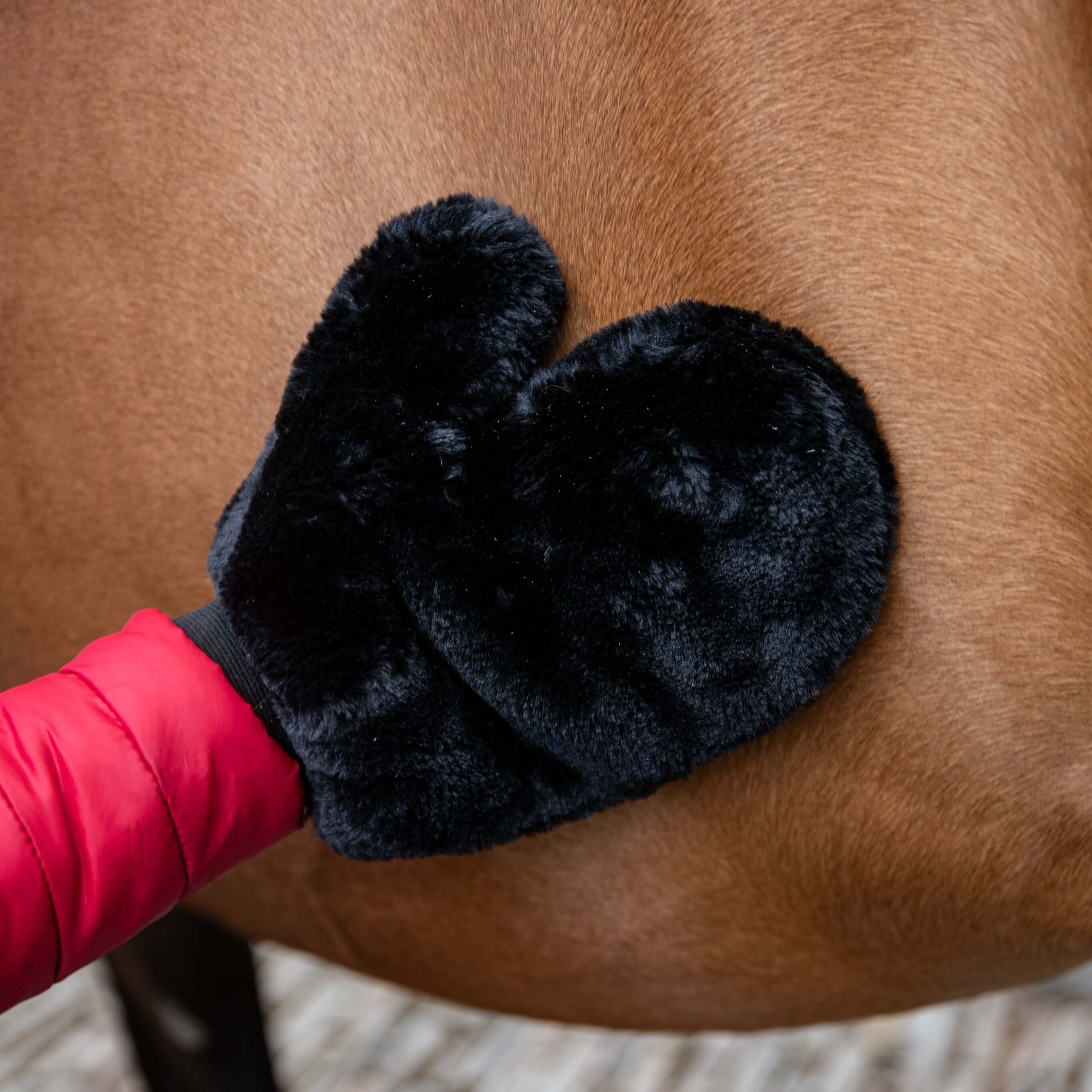 Borstiq Shaped Soft Flick Horse Brush