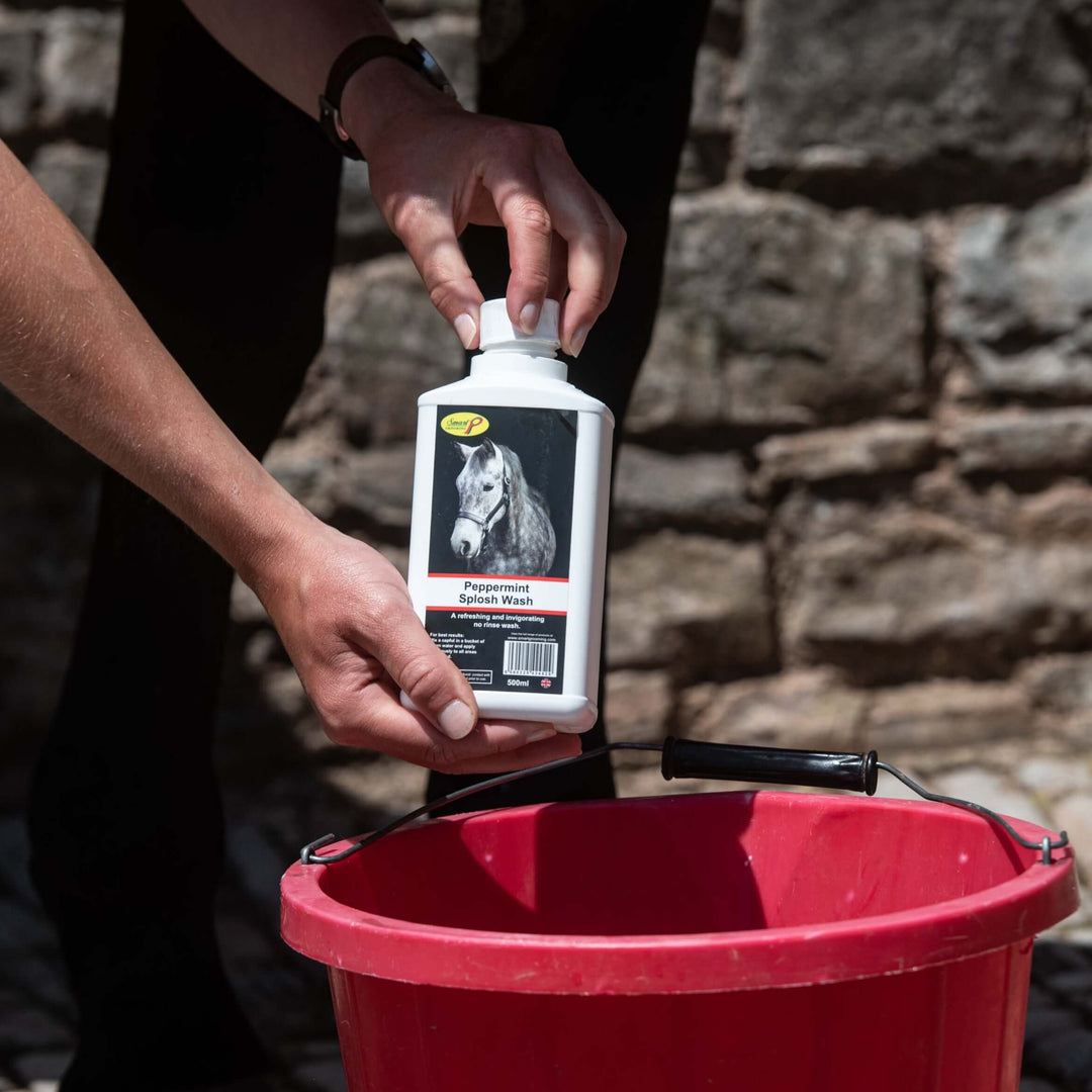 Peppermint Splosh Wash | Horse Shampoo – Smart Grooming
