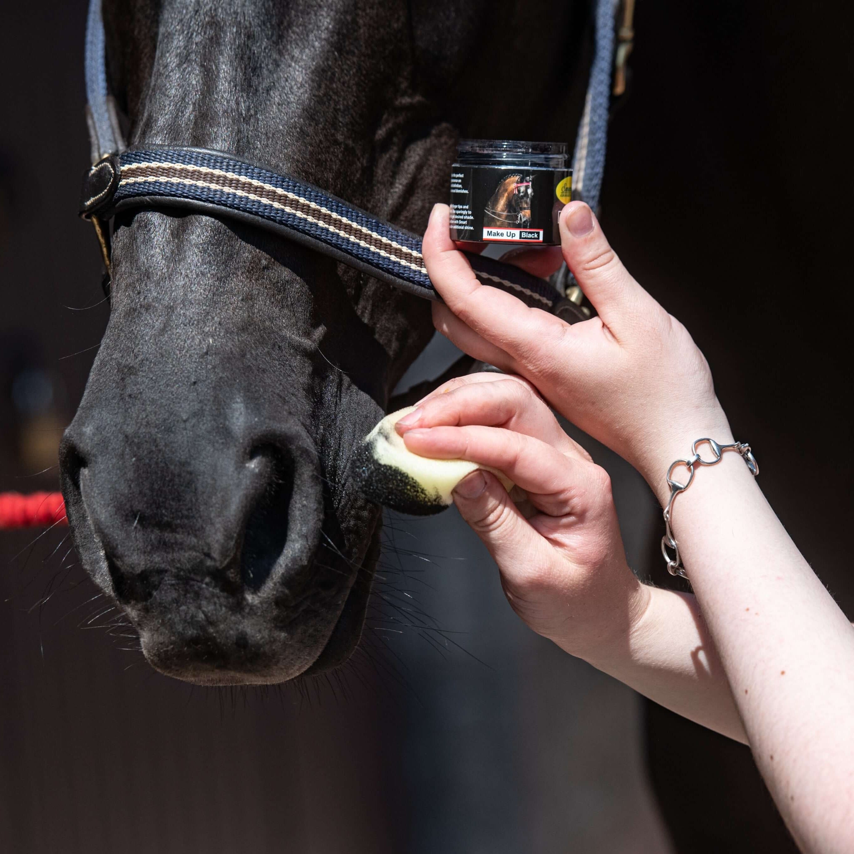 Equine Make Up – Smart Grooming