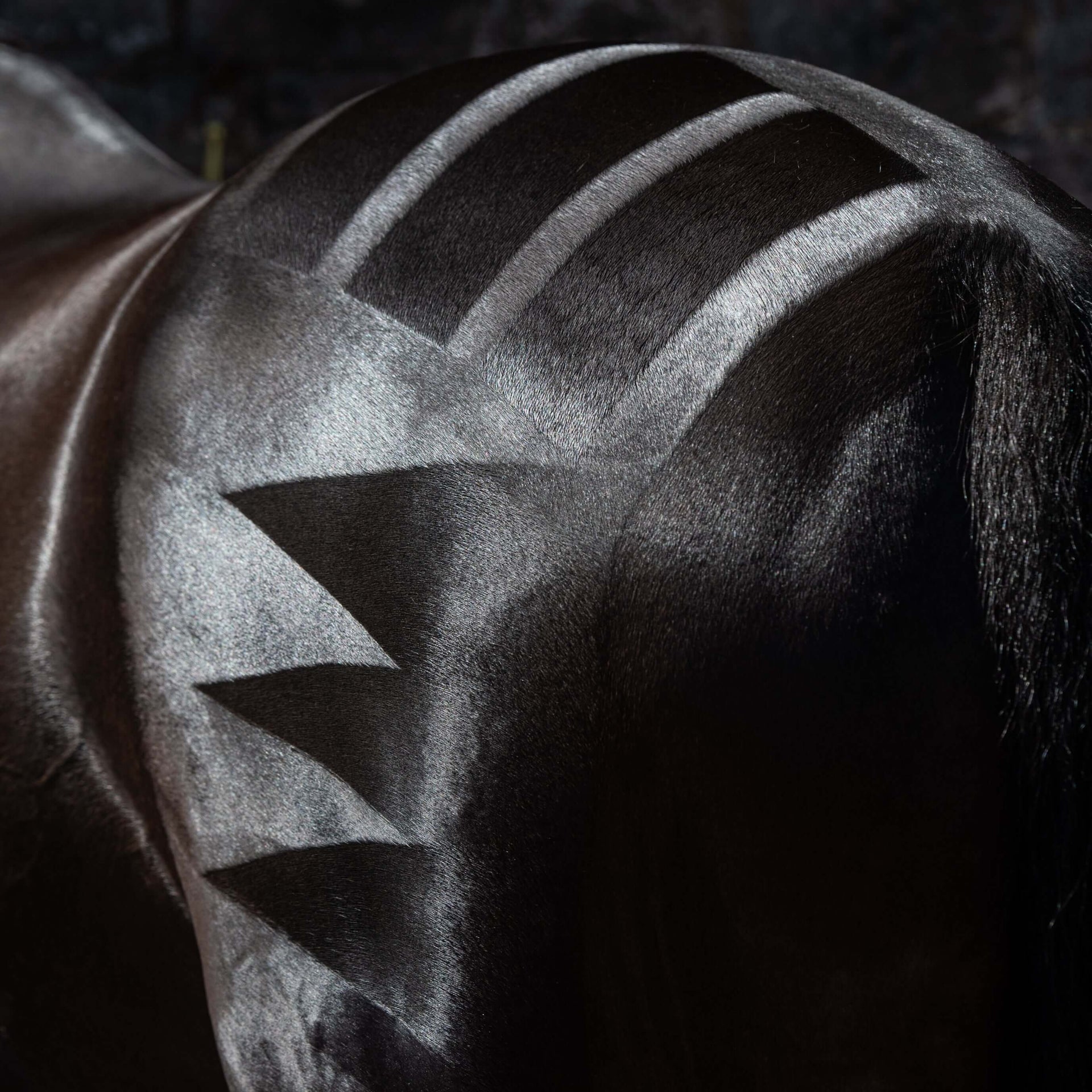 Smart Manes – Smart Grooming