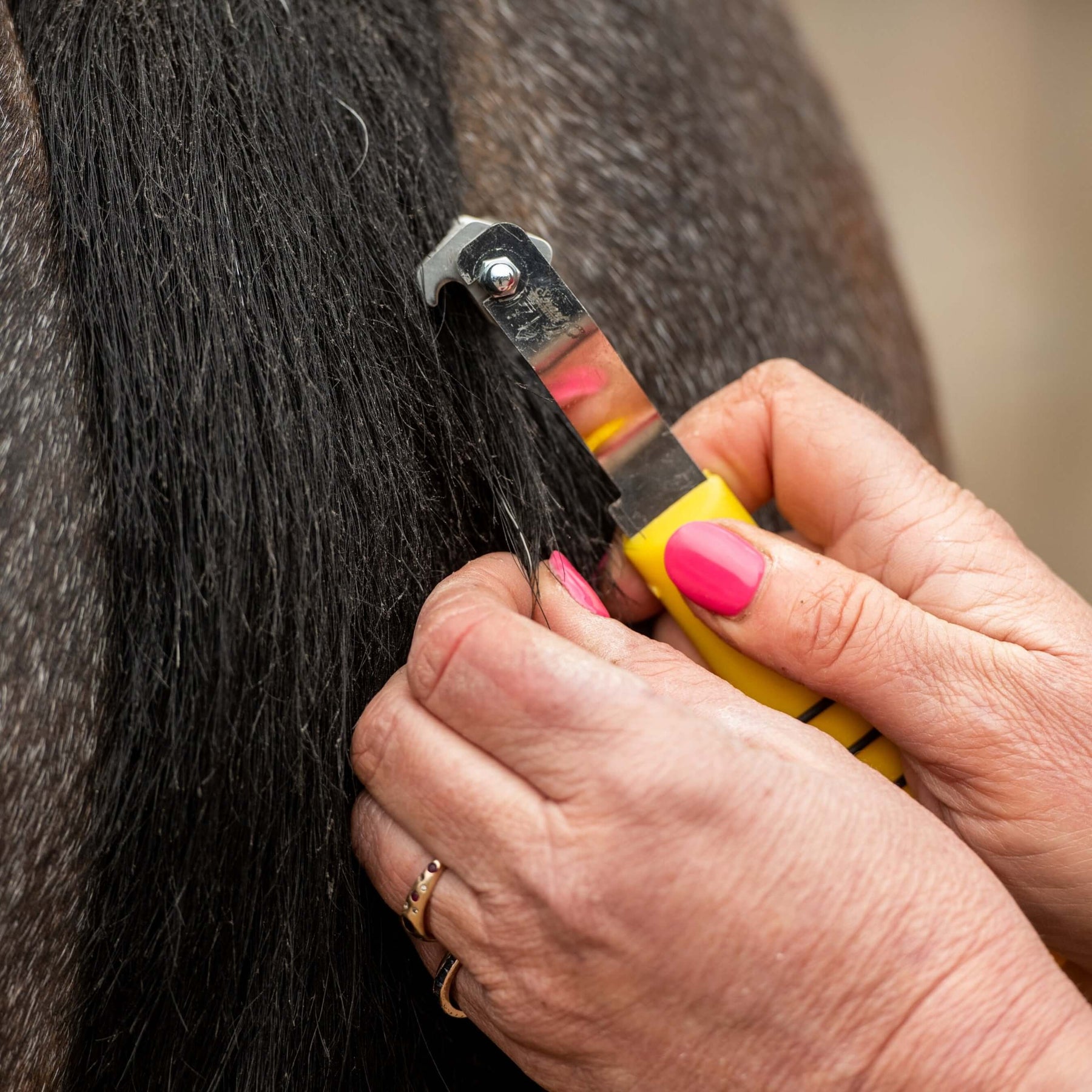 Humane Mane and Tail Rakes for Horses | Smart Grooming