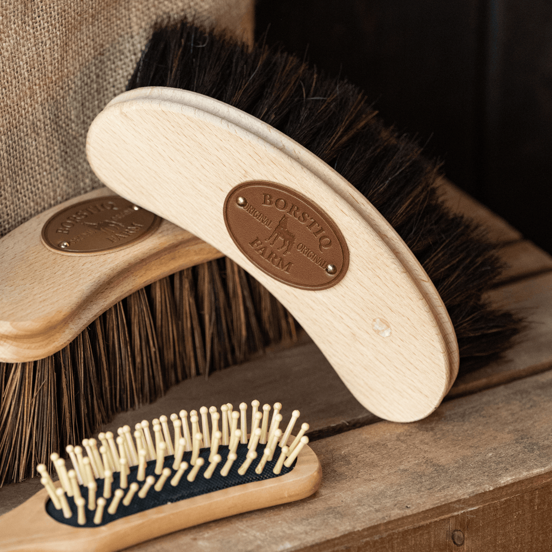 Borstiq Original Banana Brush Kit